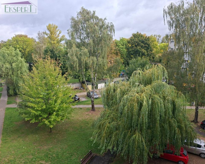 Mieszkanie Sprzedaż Sosnowiec EKSPERT 695 960 915